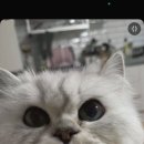 빵굼터(구로점) 이미지