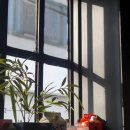 일구키친 이미지