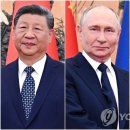 《중국 전승절의 저주》 (1대 박근혜, 10년 뒤 2대 김정은에게 부활하다) 이미지