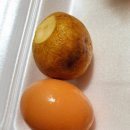 마산야식 밥집 배달맛집 만원포차 내돈내산 솔직후기