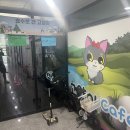호수로 간 고양이 네이버블로그