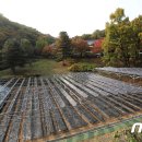 분당태양광발전소 이미지