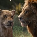 Mufasa The Lion King 이미지