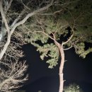 칠봉 송정 캠핑장 | 강원도 원주 [칠봉송정캠핑장] 당일치기 가능 가족 캠핑지