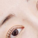 사파동101 이미지