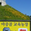 마중골교육농장