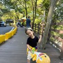 공주계곡캠핑 이미지