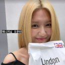 빵에진심 Daum카페