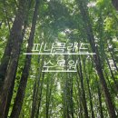 [아산 피나클랜드] 요금 할인•식당•카페•스탬프 미션 등 솔직 후기