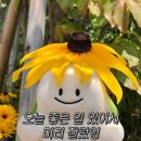 저스트브런치 네이버블로그