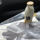 사계에반하다3 | 비가 오지만 알찼던 제주도 여행 2일차ㅣ제주빵지순례, 서귀포여행