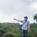청주한국바리스타커피학원 네이버블로그
