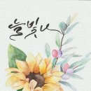 늘빛나 이미지