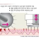 진(JIN)에스테틱