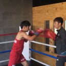 캥거루복싱GYM 이미지