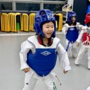 계명대꿈나무태권도장 이미지