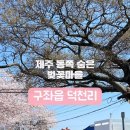 덕천리 마을회관 이미지