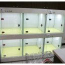 엔젤동물병원 이미지