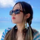 유엔아이여행사 | [괌여행일지]#04 괌으로의 사전준비 : 투어예약편(돌핀크루즈/별빛투어)