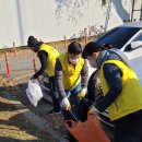 11월 신기루자원봉사단 환경정화활동. 이미지