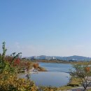 아름도담길 | (세종시둘레길 걷기) 광제사-임난수은행나무-전월산-원수산-아름도담길