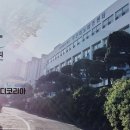 디메디 주식회사 이미지