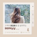 상봉동-017 네이버블로그