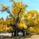 도동농장 이미지