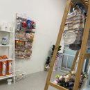 늘 사랑스럽개 이미지