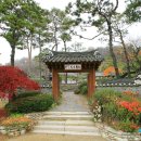 조선 왕가 이미지