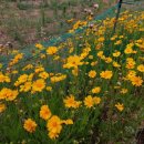 성흠농장 이미지