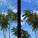 프로 인물 제품 사진 촬영 이미지