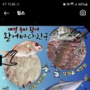 활어바다친구 이미지