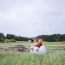 김투어 이미지