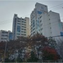 정릉36 이미지
