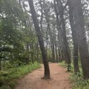 당리 할아버지 | 부산 승학산 등산 동아대출발-당리마을버스정류장코스