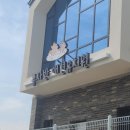 콩자반 애견유치원 이미지