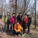 김경애농장 이미지