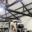 팍스도그트레이닝센터 이미지