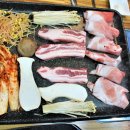 중앙돼지 이미지
