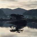 궁1리마을회관 | 서해랑길 67코스 (도황1리다목적회관~ 송현1리버스정류장)