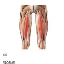 필라테스+PT | 필라테스 PT