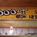 싱싱난리부르스5000냥 이미지