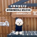 방도리 108 | 경기도 광주 대형견 애견동반 독채펜션 방도리108 예약