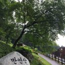 만연사 입구 주차장 이미지