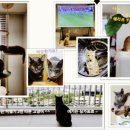 주인아 미용하고가 이미지