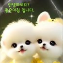 유람 이미지