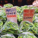 늘푸른야채 - 남동구 논고개로 73 | 늘푸른야채