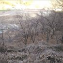 지정면사무소 이미지