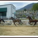 화이트밸리 이미지